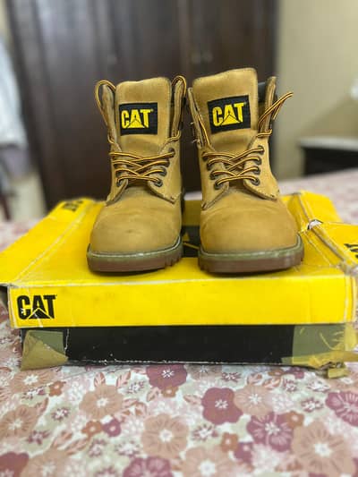 Cat Brand