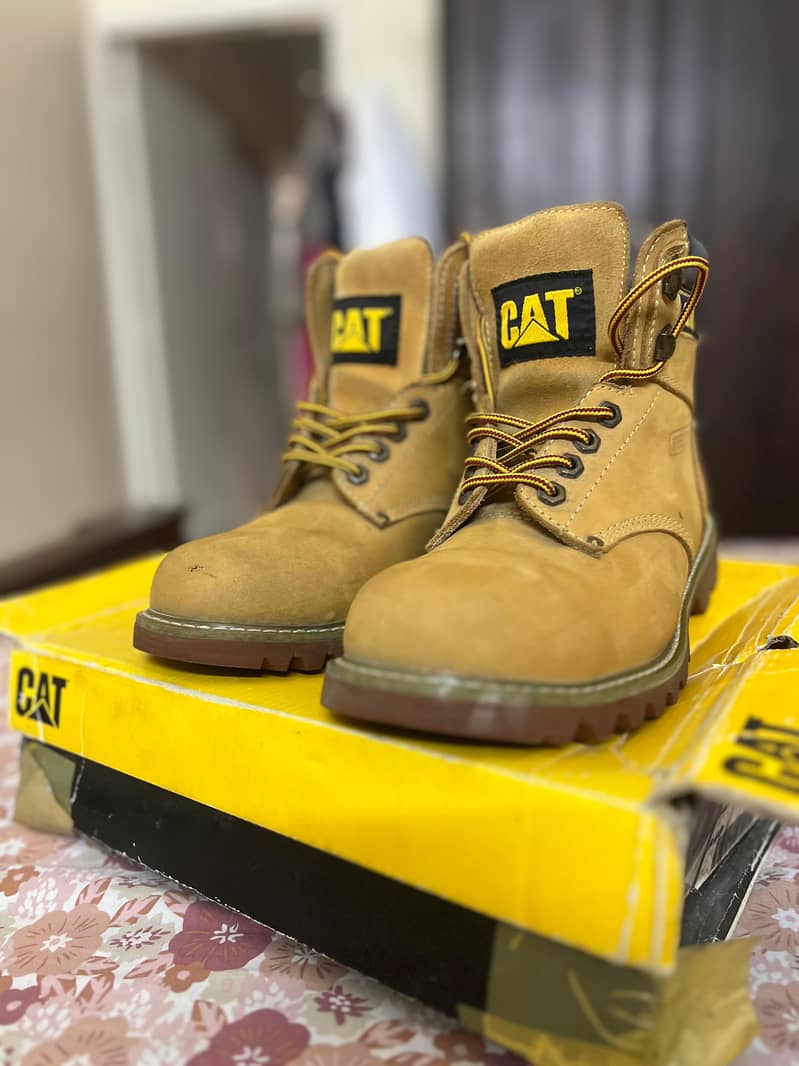 Cat Brand 1