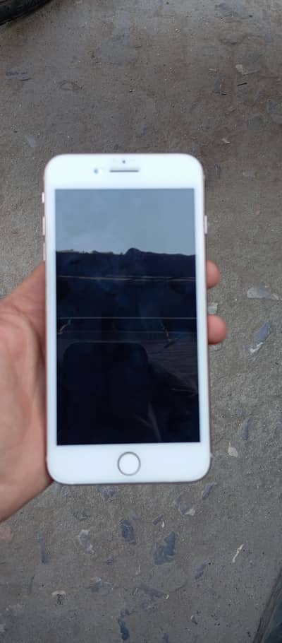 8 plus pta approved