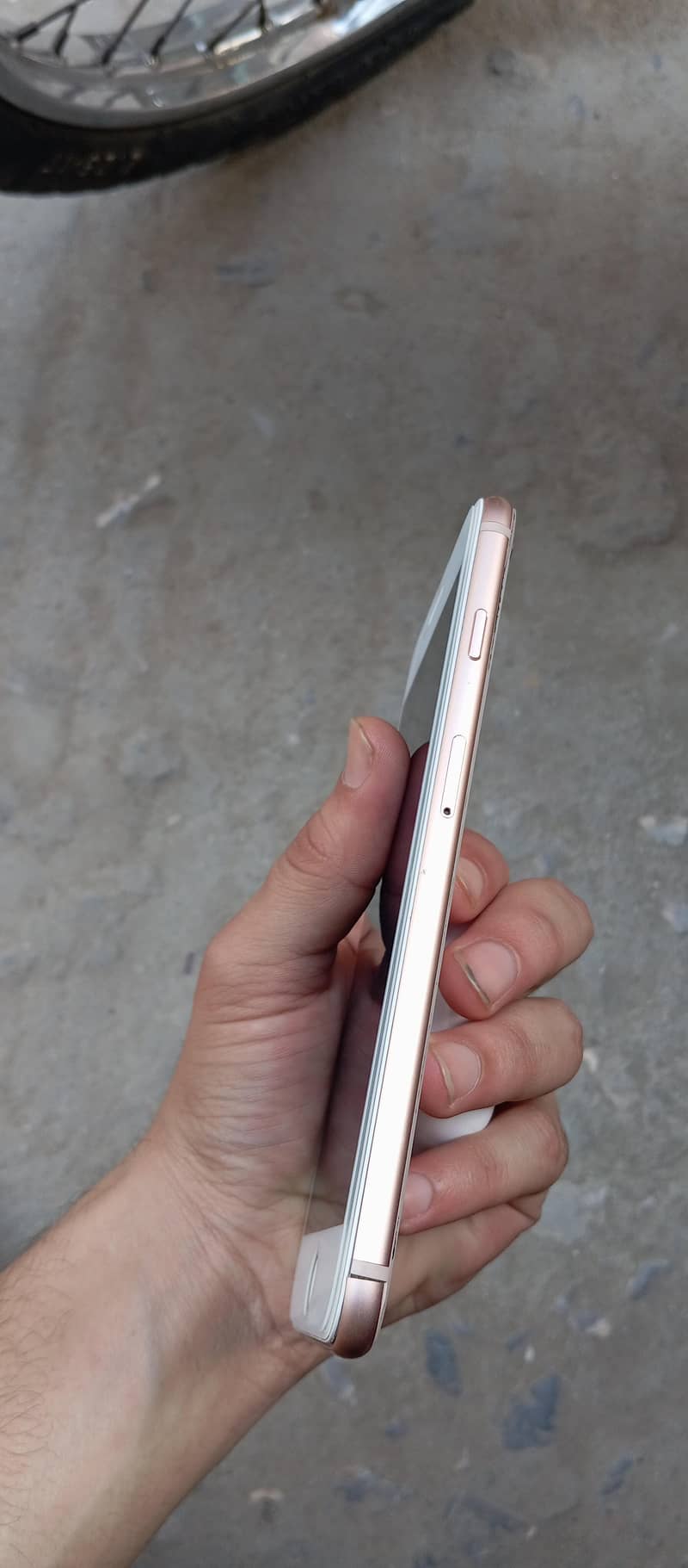 8 plus pta approved 1