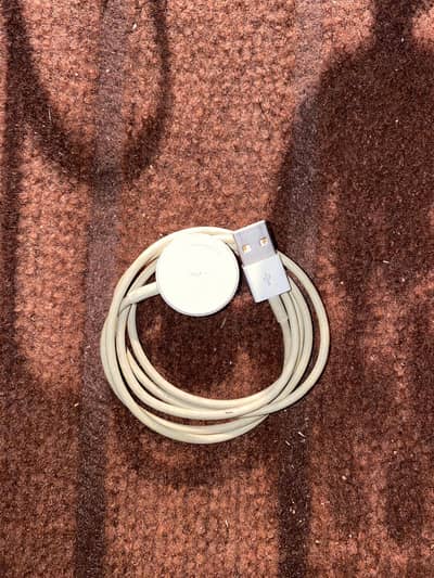 Apple watch charger