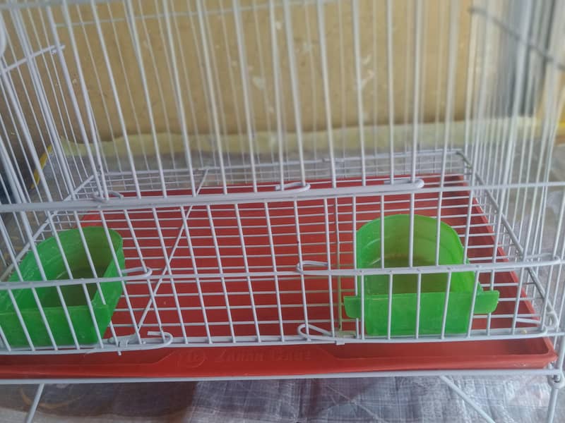 Cage,, 2