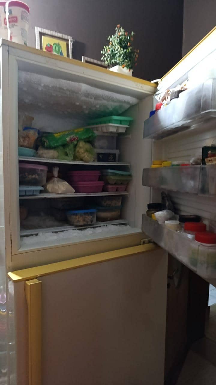 Pel fridge 1