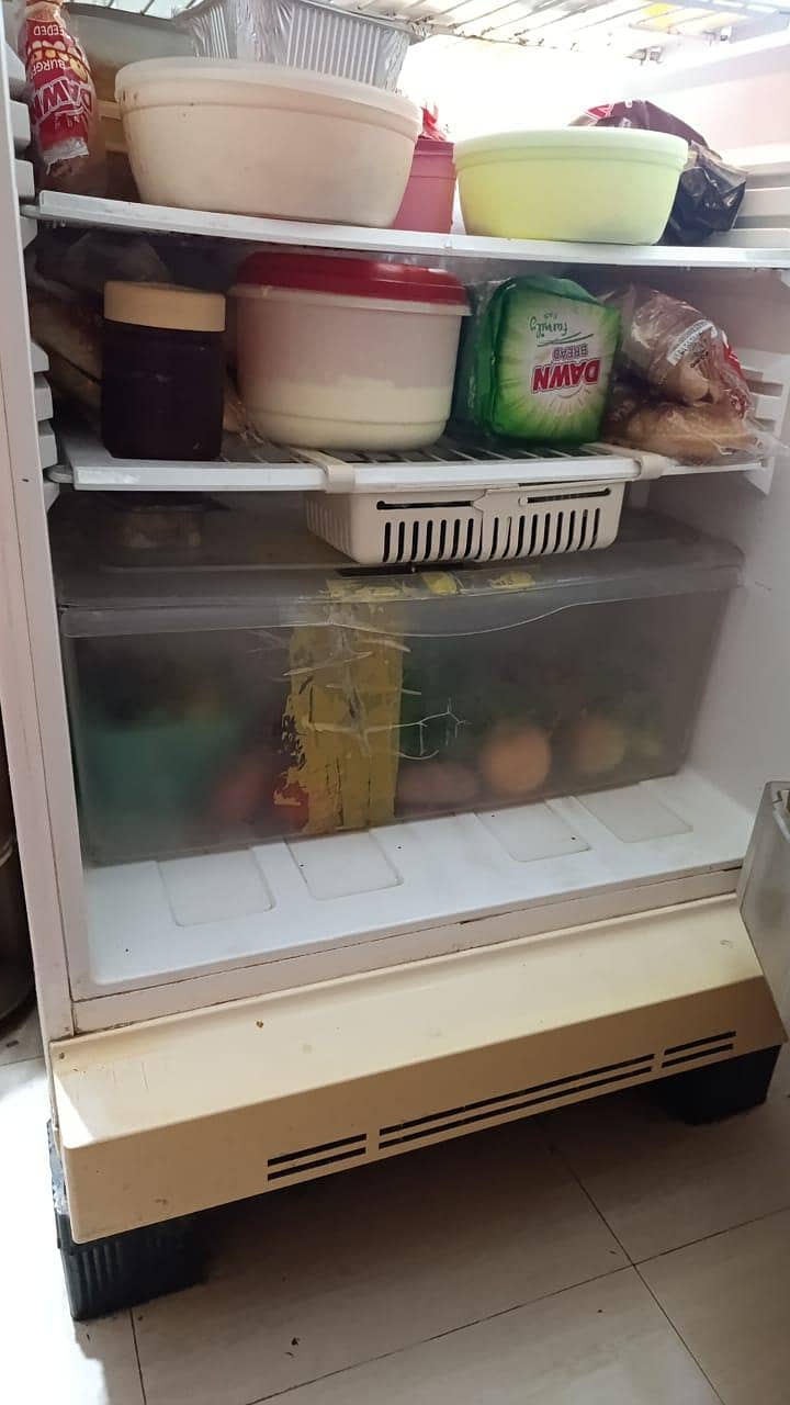 Pel fridge 3