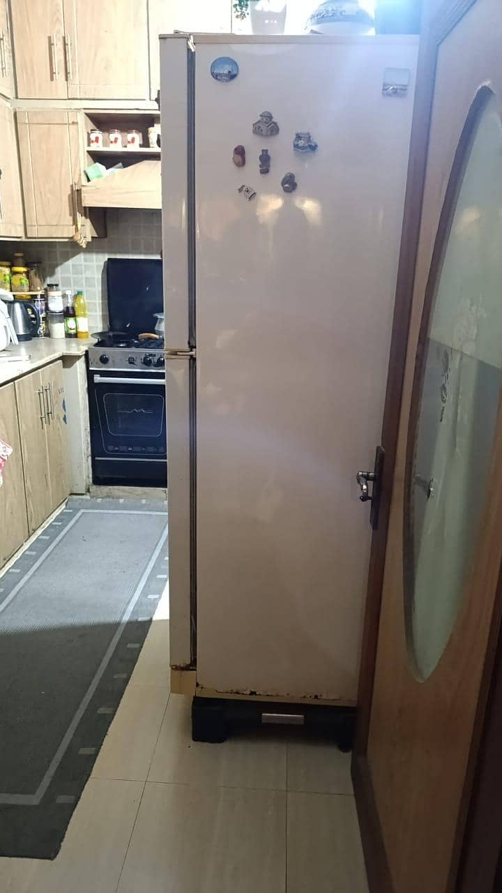 Pel fridge 5