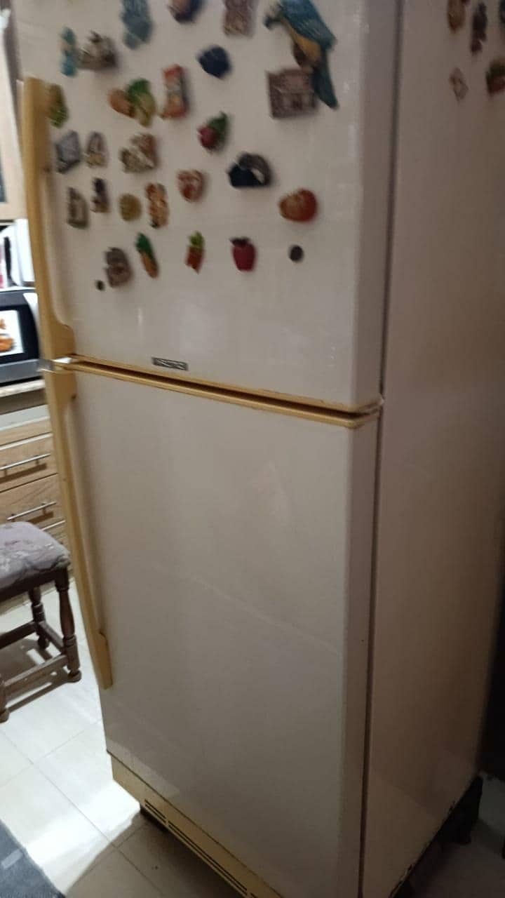 Pel fridge 6