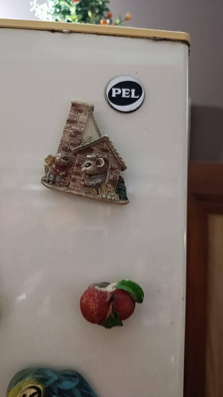 Pel fridge 7