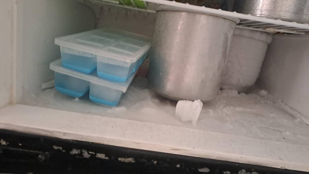 pel fridge 2