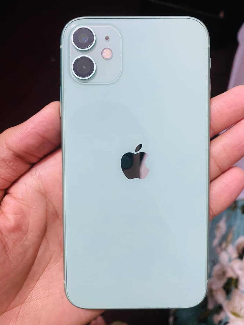 iPhone 11 bypass 0