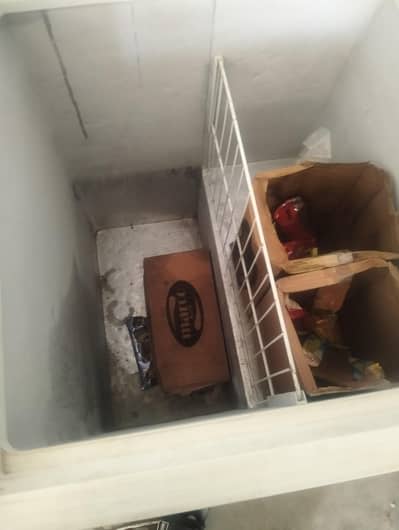 Haier deep freezer