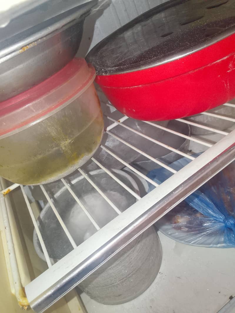 waves frige medium size 4