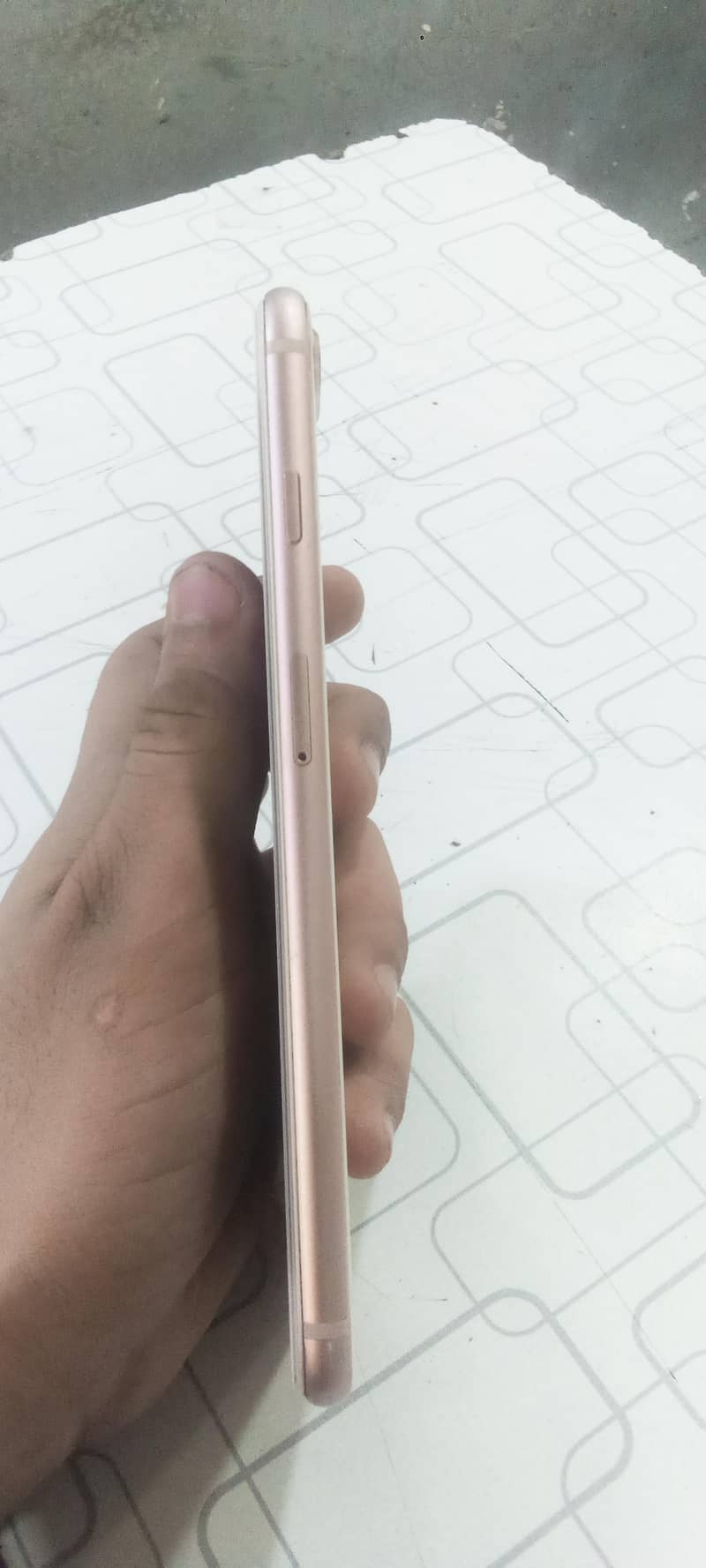 8 plus 4