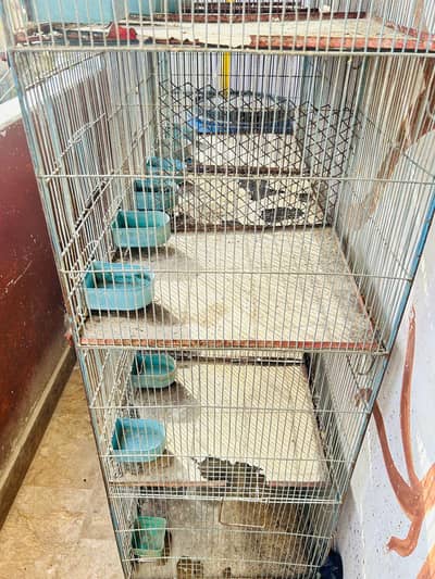 12 portion cage for sale