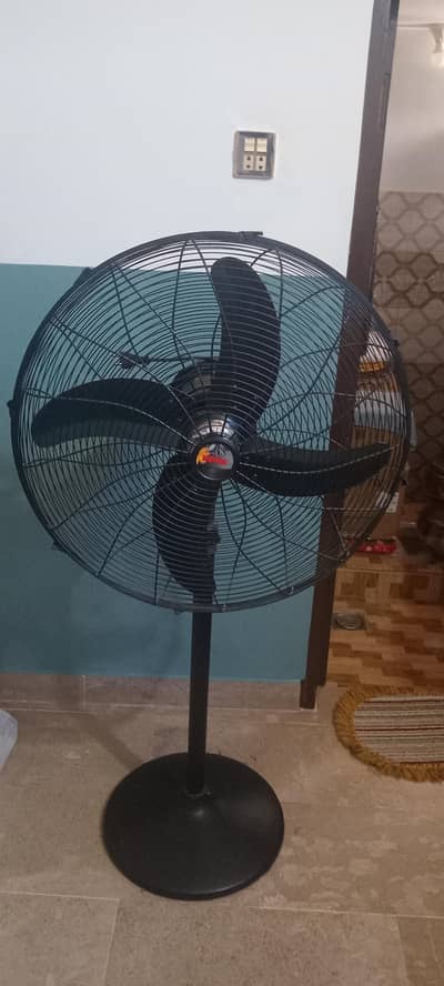 Royal Fan for sale