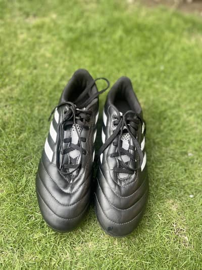 Adidas Goletto 8 TF
