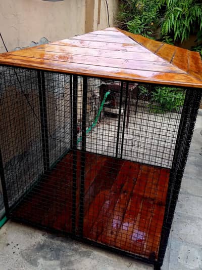 very beautiful , unique Dog cage