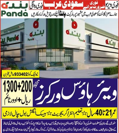 Saudia Jobs available