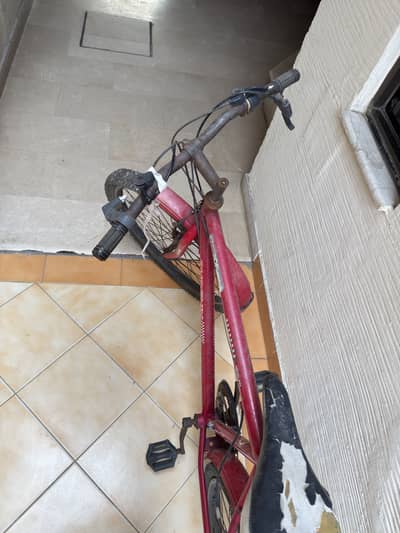 Phoenixe bicycle geares project bike
