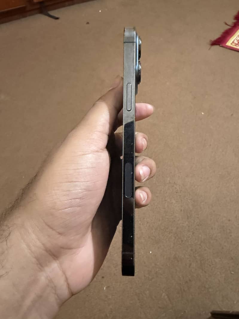 iPhone 13 Pro Max 1