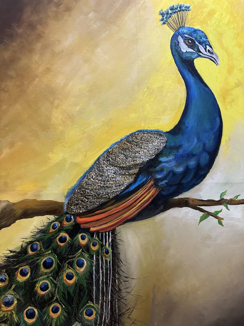 Peacock 1