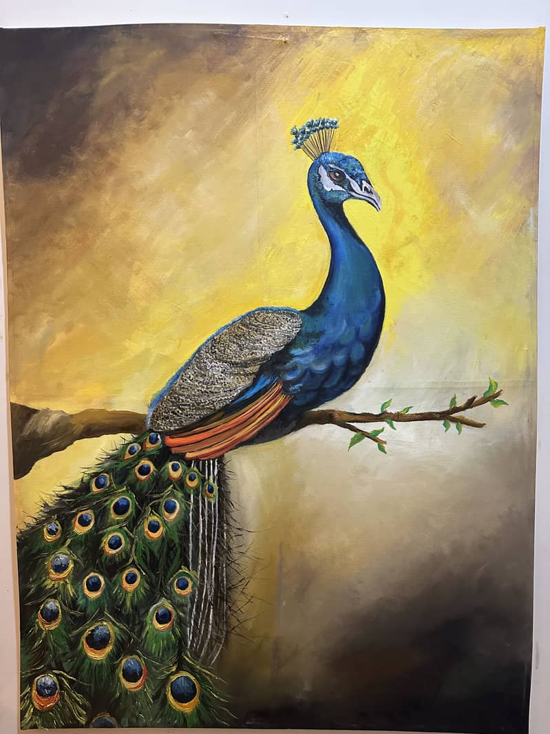 Peacock 2