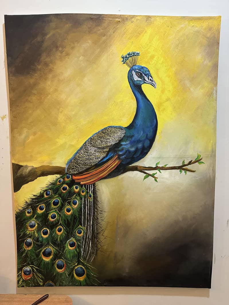 Peacock 3