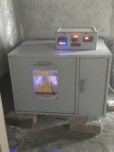 Automatic egg incubator