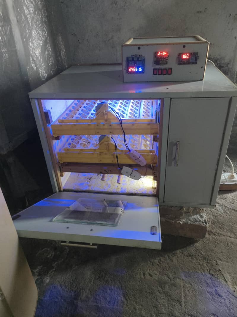 Automatic egg incubator 2