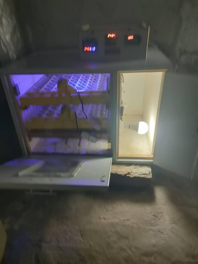 Automatic egg incubator 3
