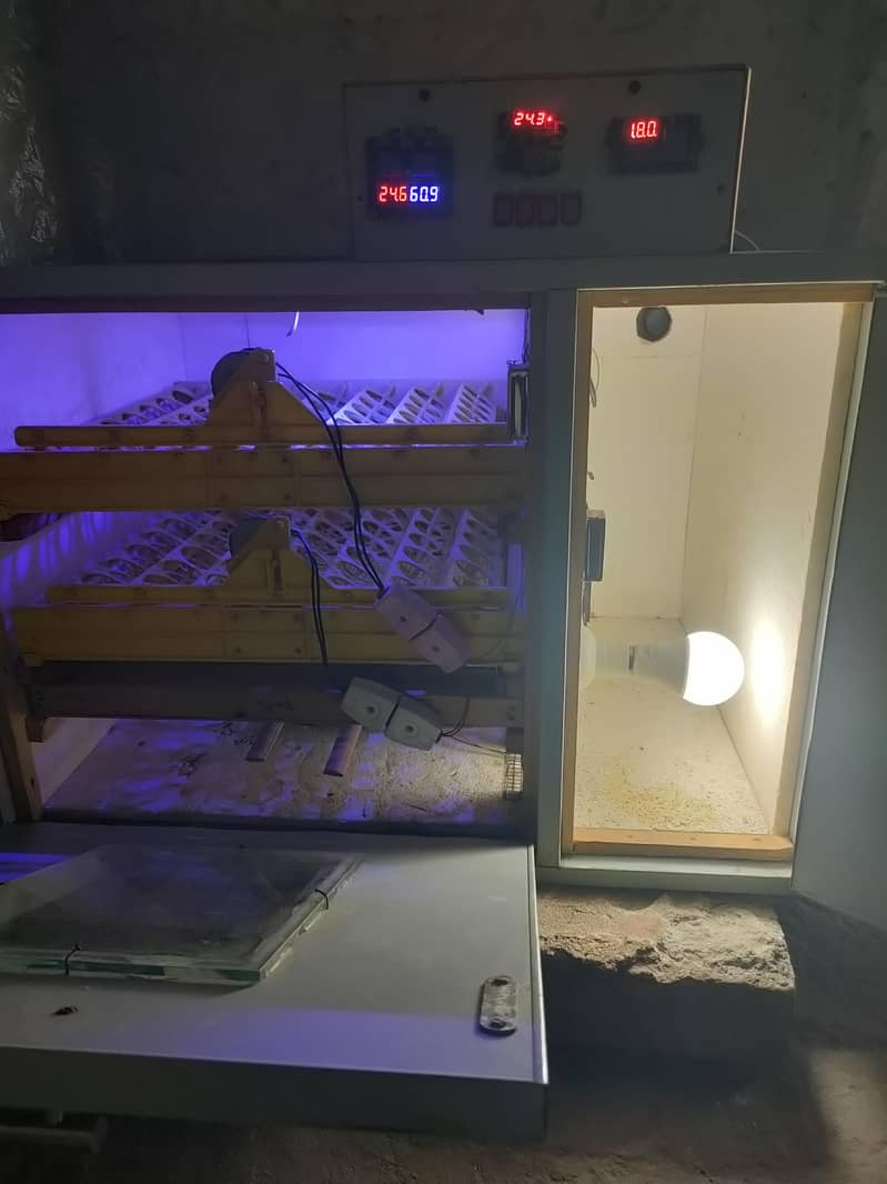 Automatic egg incubator 4