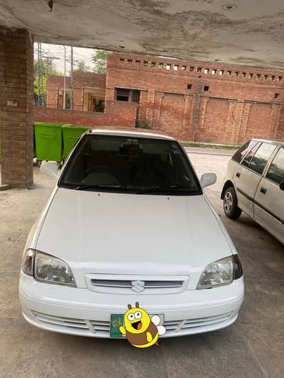 Suzuki cultus