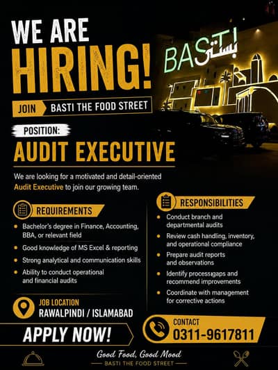 audit executive