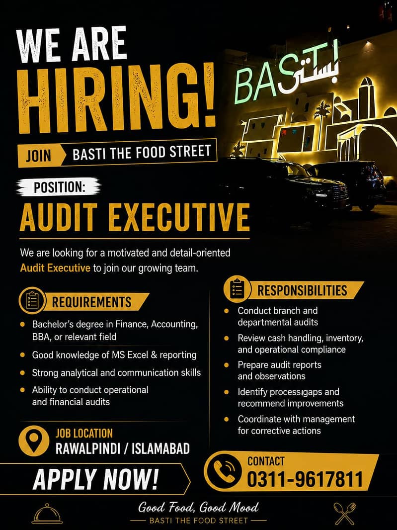 audit executive 0
