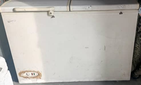 double door freezer.