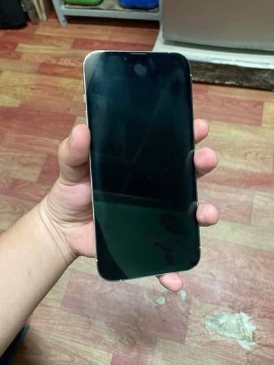 iphone 13pro max JV