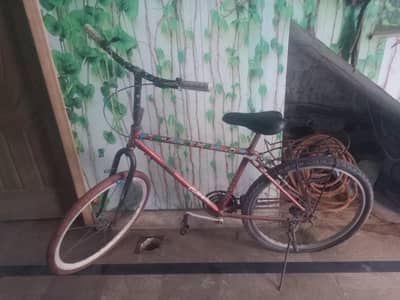 viller begi frame