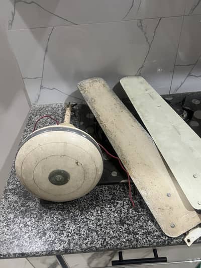 Cieling fan for sale wtsapp 03090542076