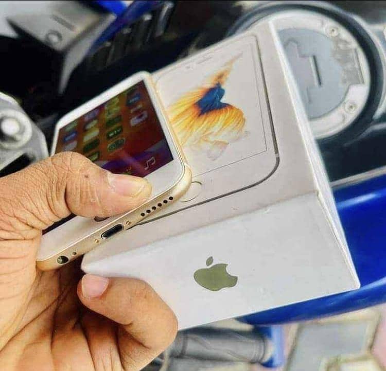 iPhone 6s 1