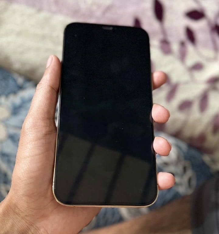 iPhone 12 pro max 2