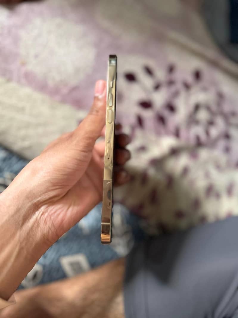 iPhone 12 pro max 3