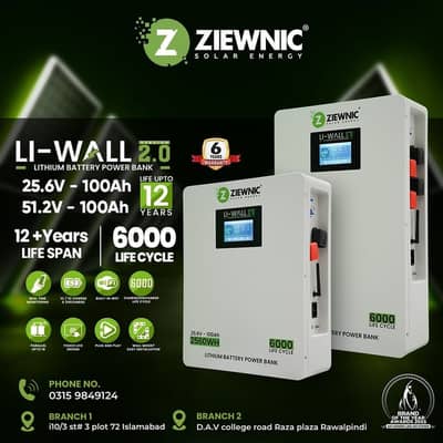 lithium ion battery for sale/ziewnic battery,24v/48v/batteries