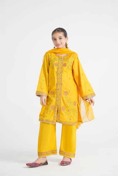 lawn embroidery dress