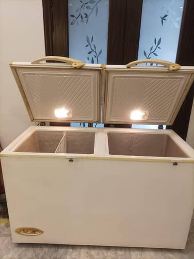 double Door Freezer