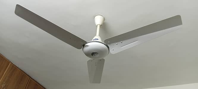 pak Fan