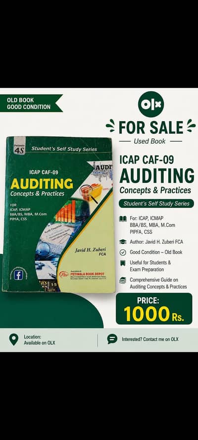 Audit concept and practice