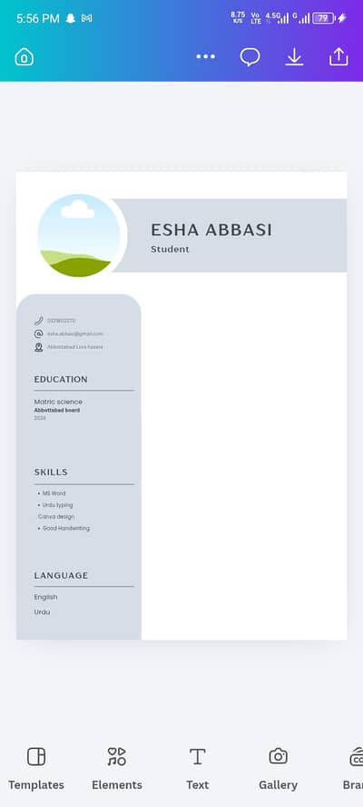 Professional CV Banwayein 300 RS
