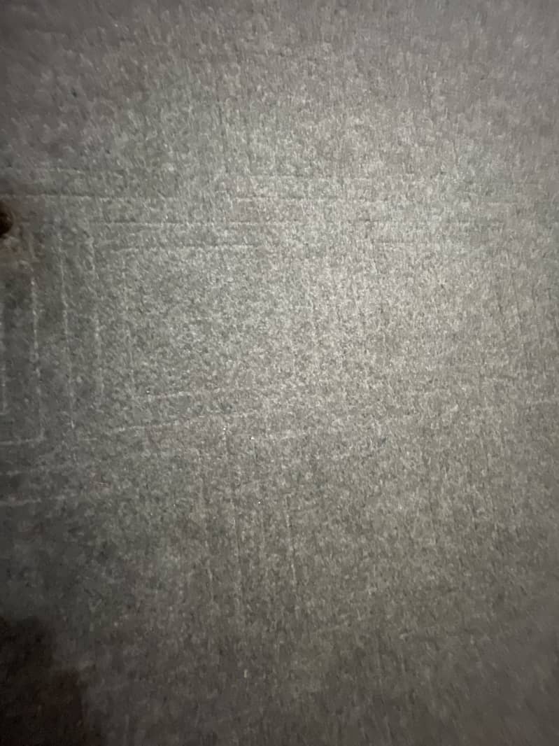 Carpet 0
