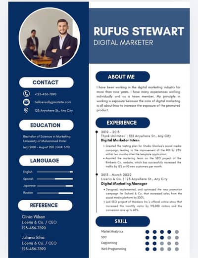 Professional CV  writing & editing service Affordable and Fast