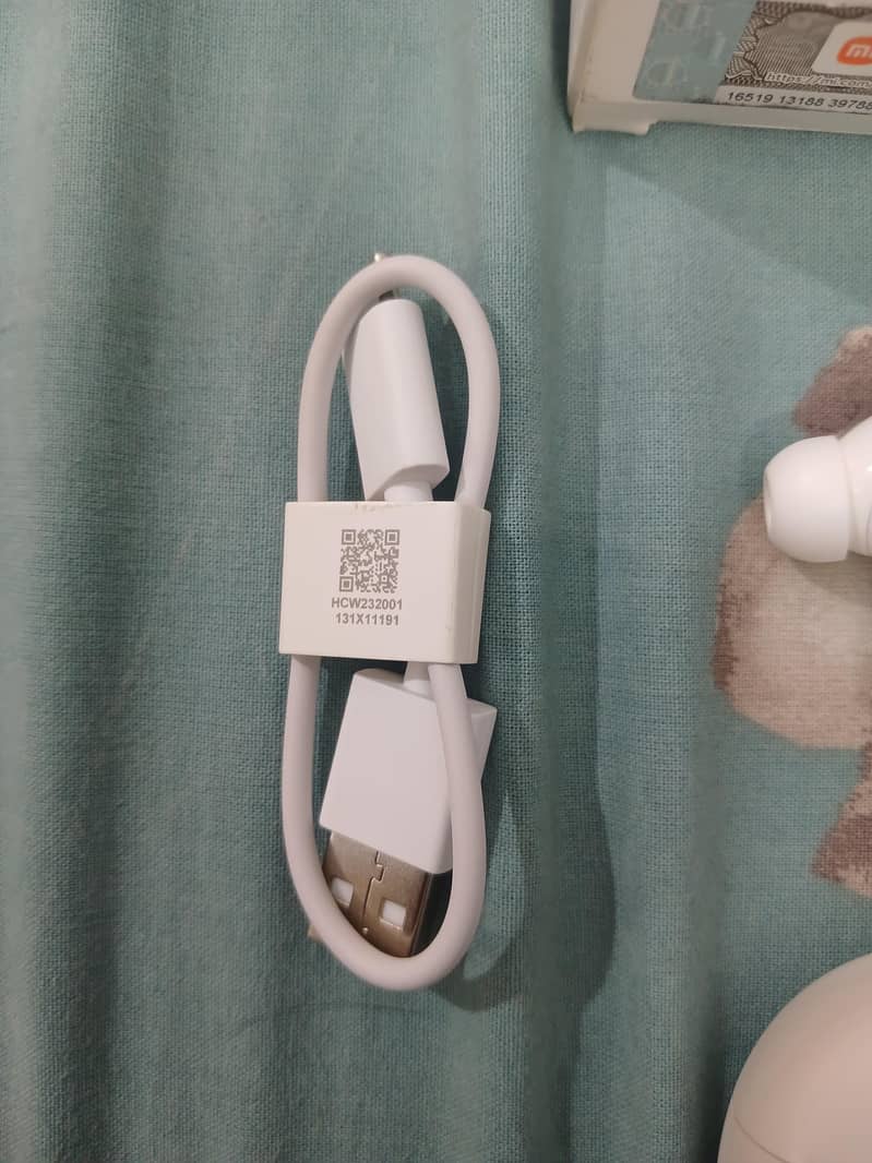 earbuds 2