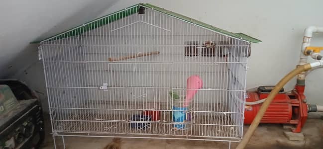 Birds/Hen Cage For Sale